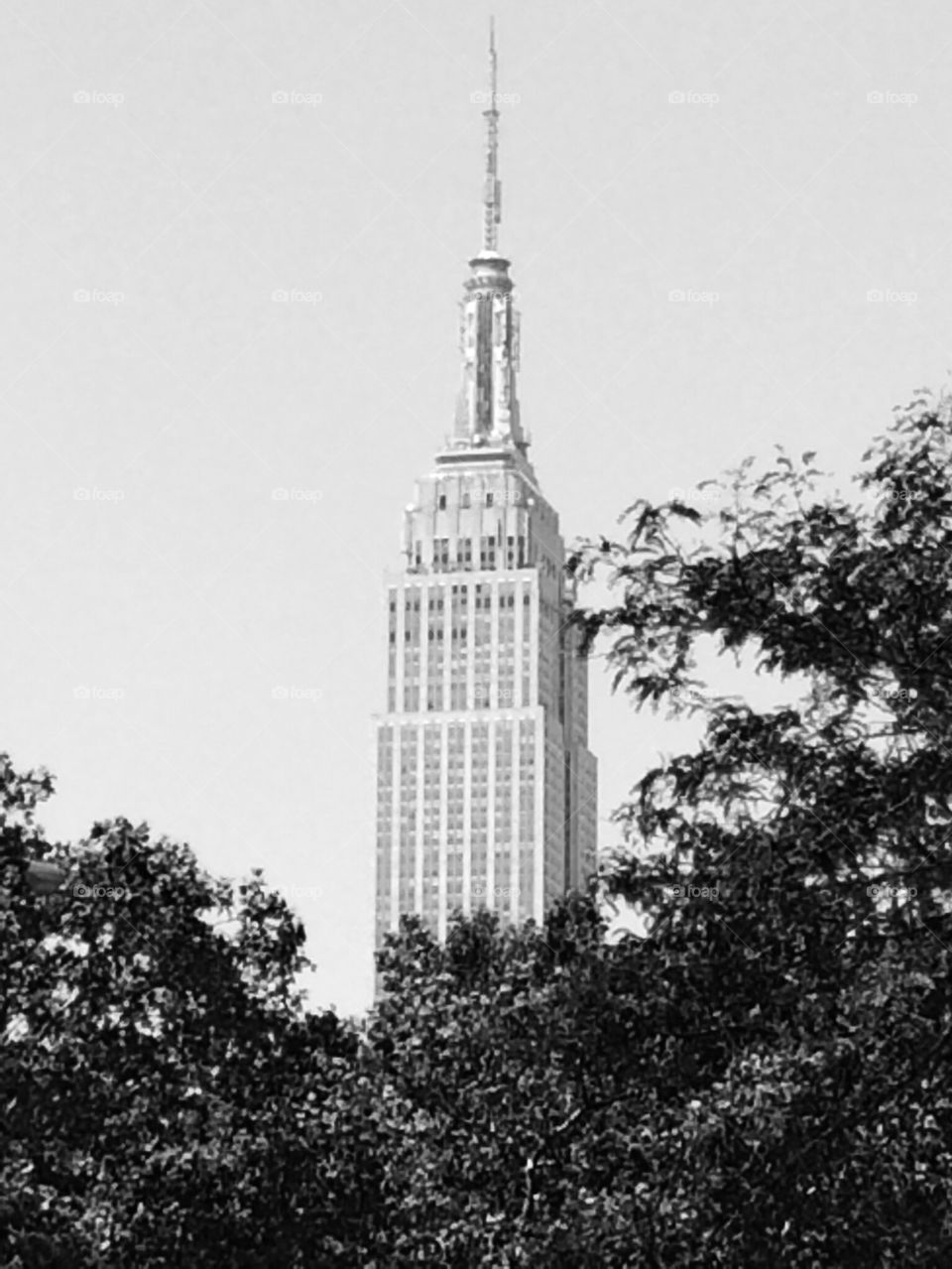 Empire State 