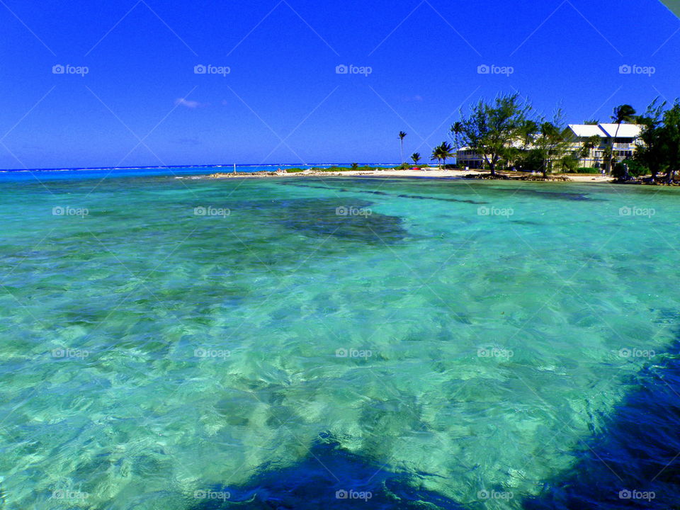 The Carribean Awaits