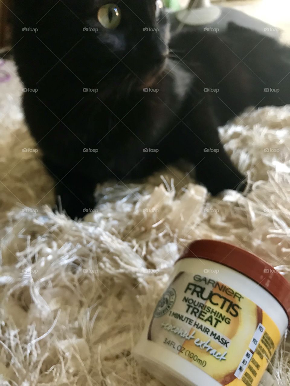 Black cat sitting next to coconut hair mask