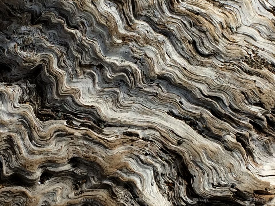 Old wood textures 