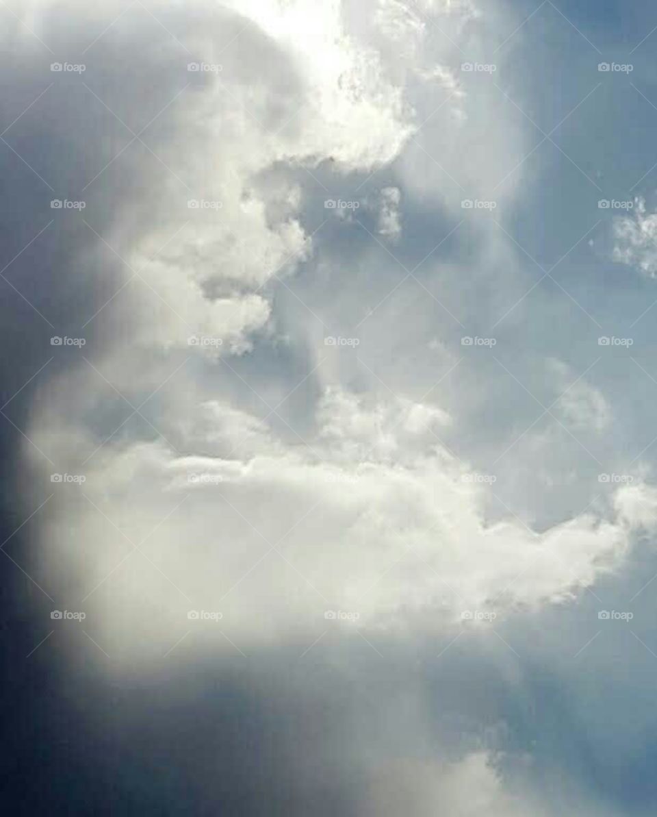 Gesichter Affe und Hund am Himmel 😃