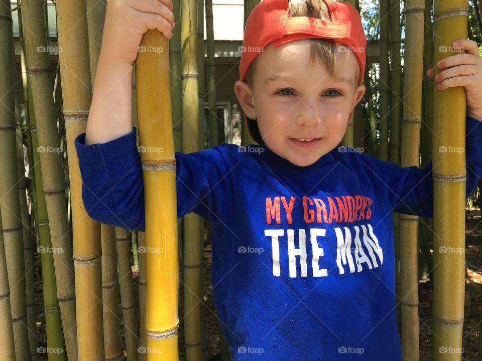 A boy and bamboo 