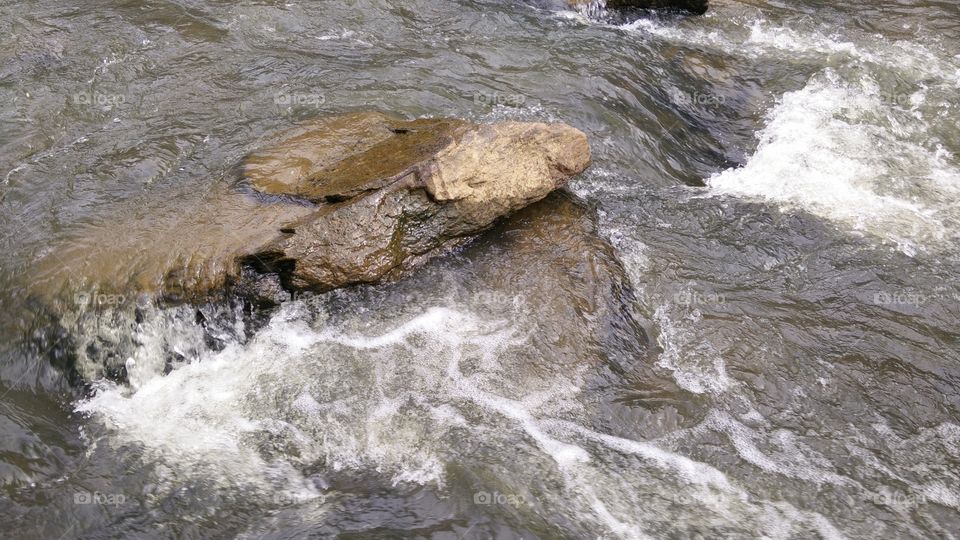 Rocks in the stream