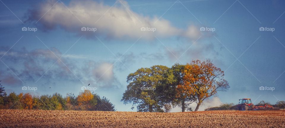 Plowing. Farm 