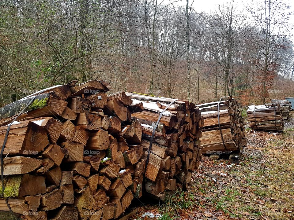wood for winter