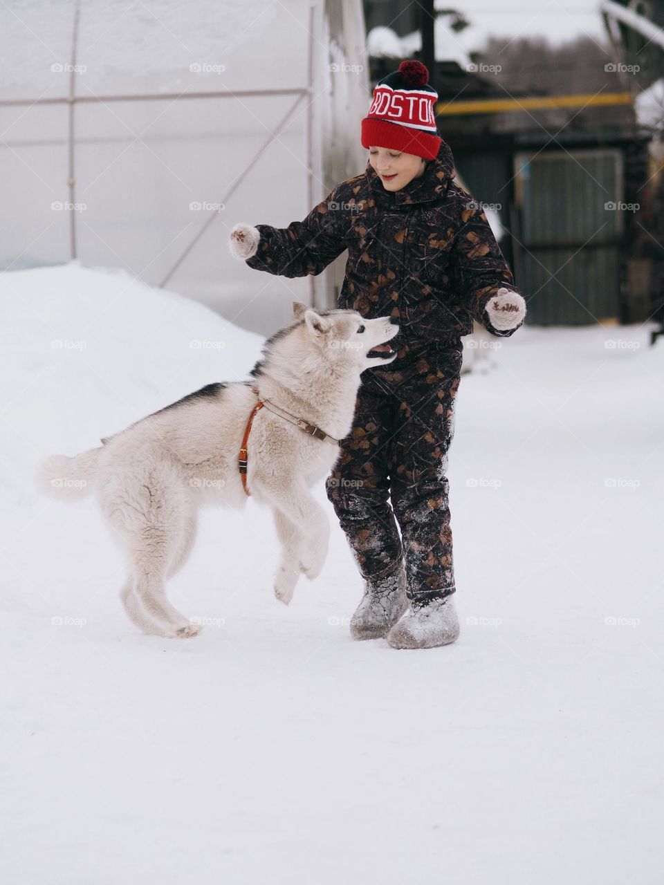 Little boy playing with husky dog in winter day