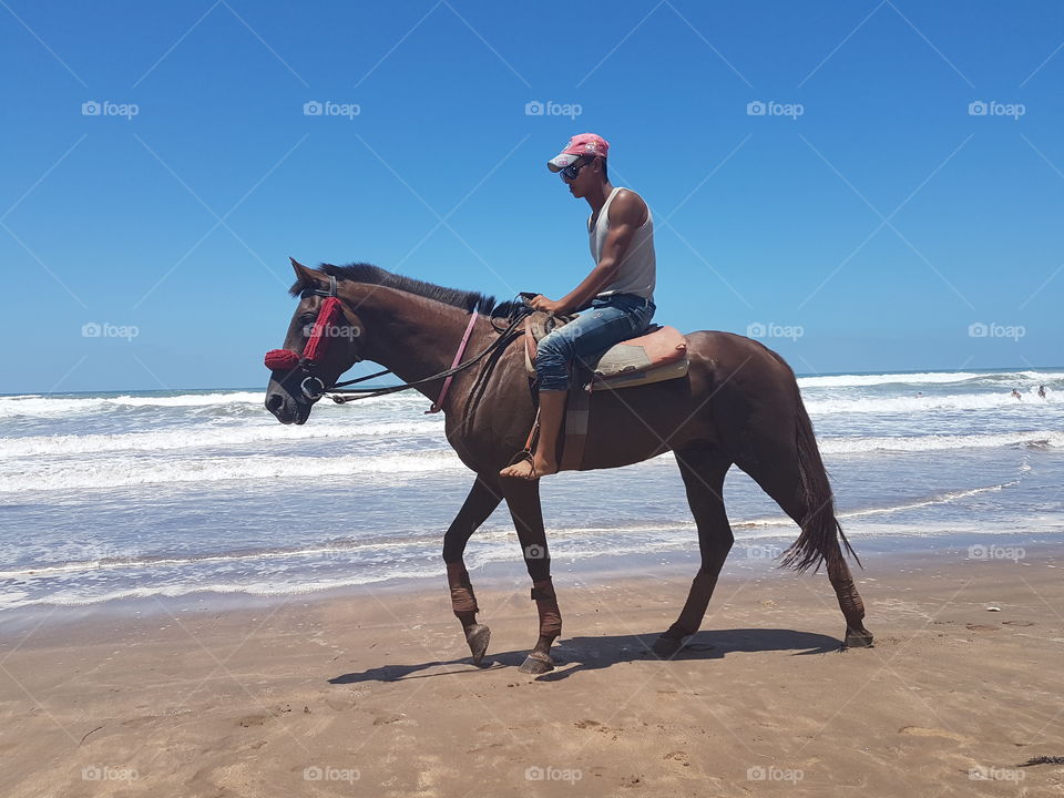 beach horse sky love great summer