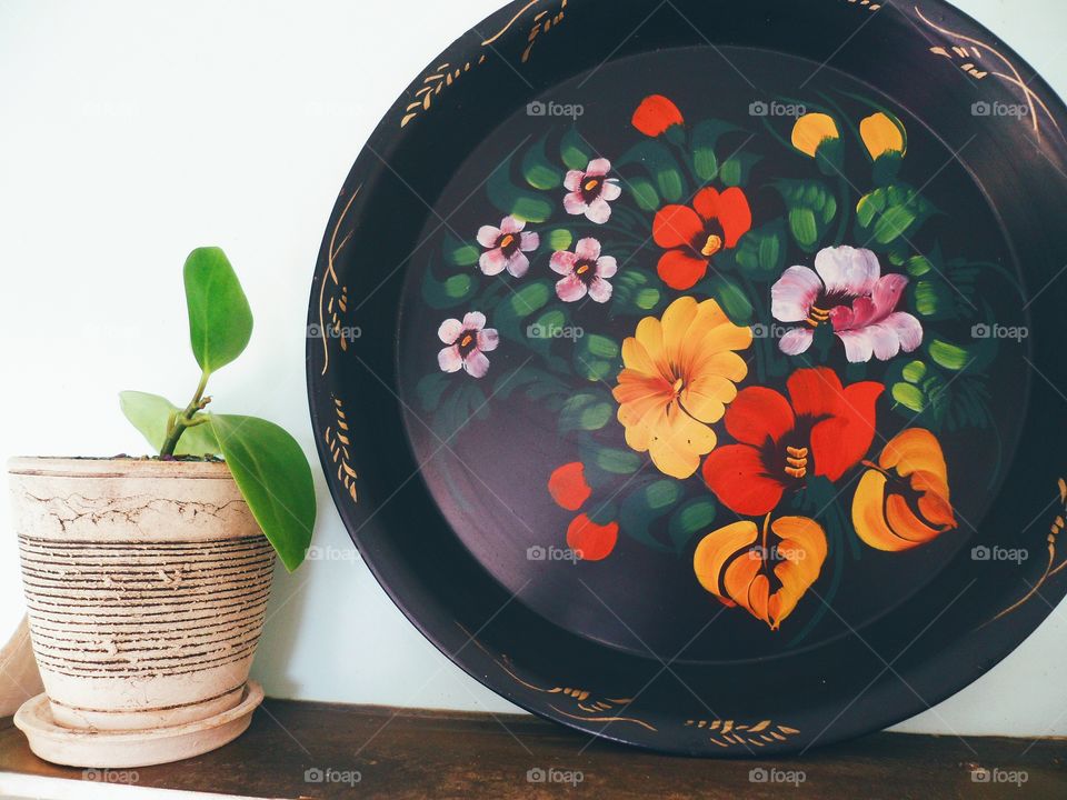 ficus plant and decorative tray with artistic painting