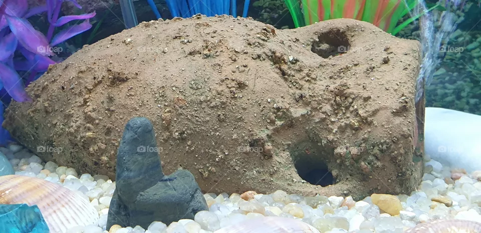 aquarium