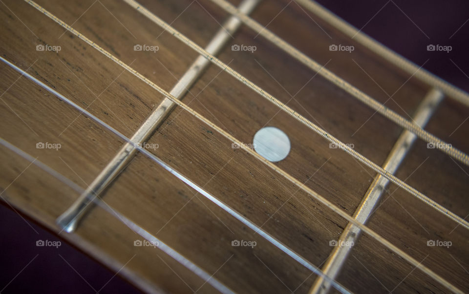A Macro Photo of an Acoustic Guitar Neck, Frets, and Strings