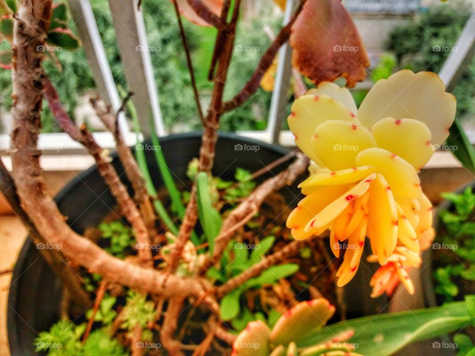 When nature surprises!🌴