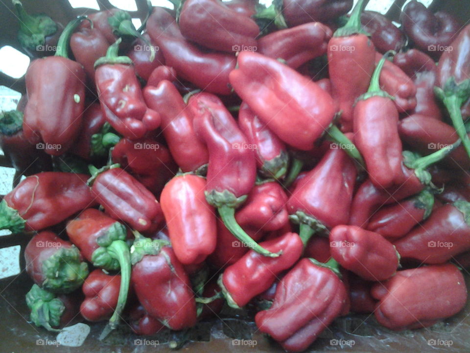 Red hottest pepper