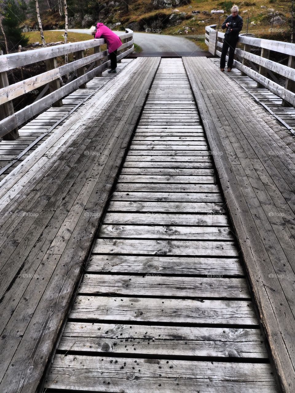 Wooden bridge. 