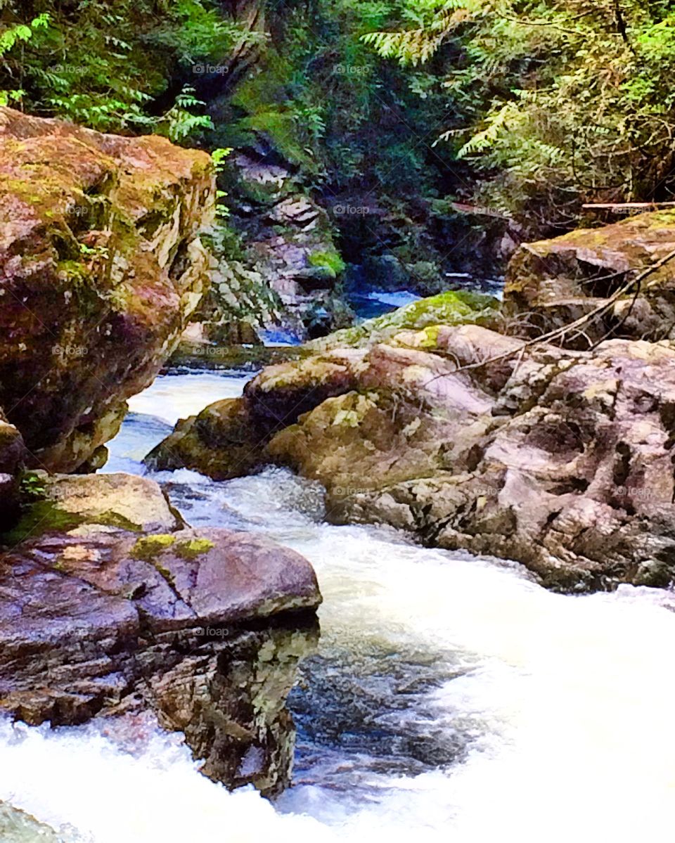 A beautiful Spring Day hike through UBC Research Forest. The rushing water pouring over the waterfall was incredible!! 