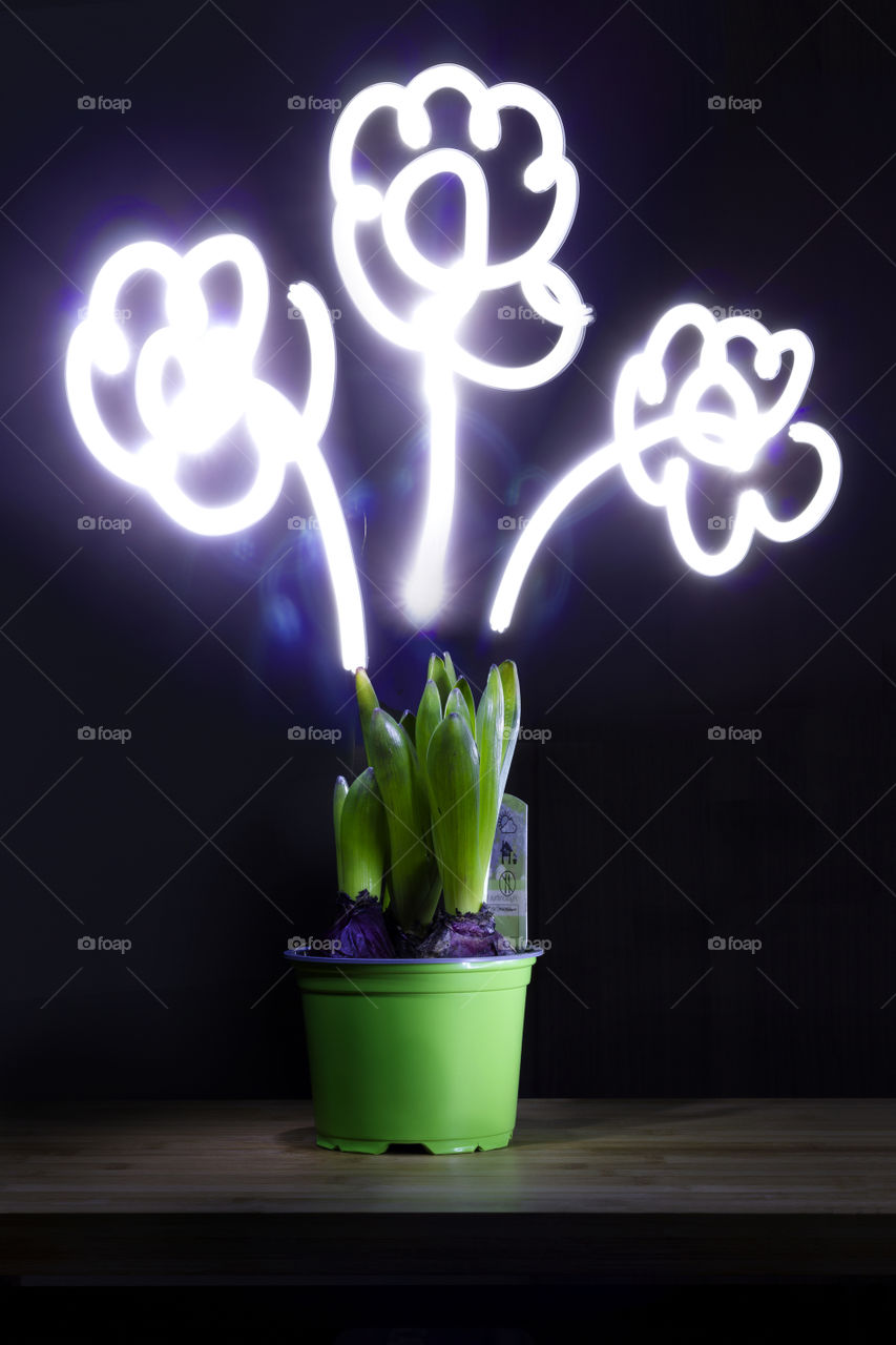 A long exposure portrait of a plant which is not yet booming so I drew some flowers on there using light painting and thus a long exposure.