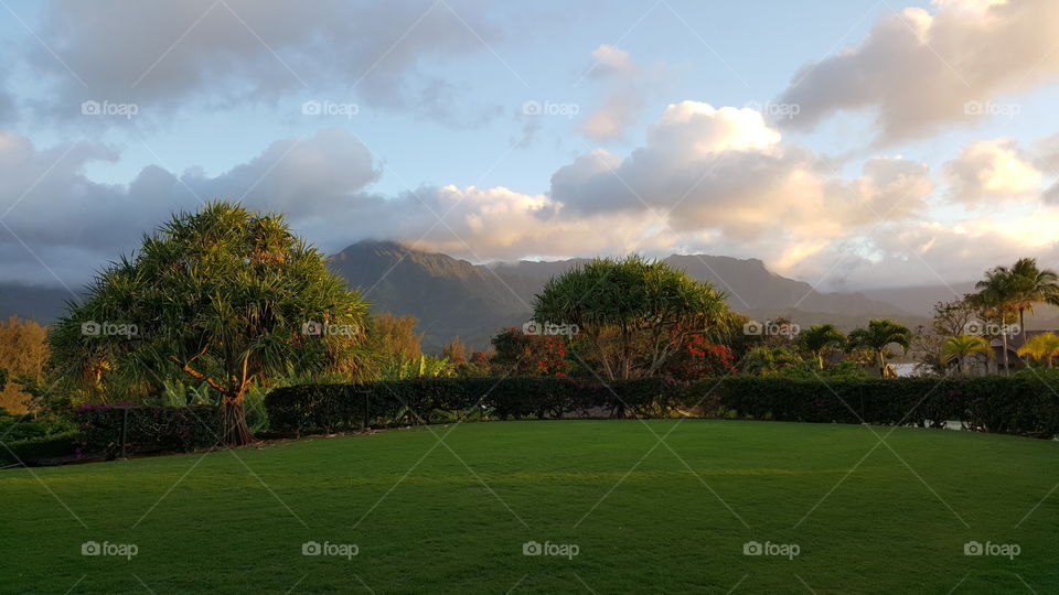 Hanalei Bay Mountain View