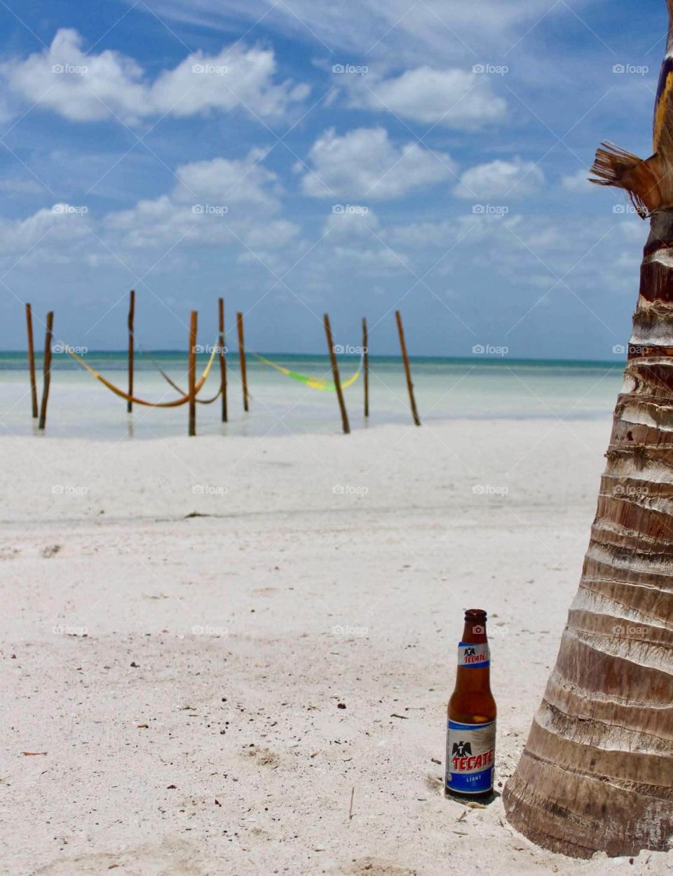 Come. Sit. Have a beer.