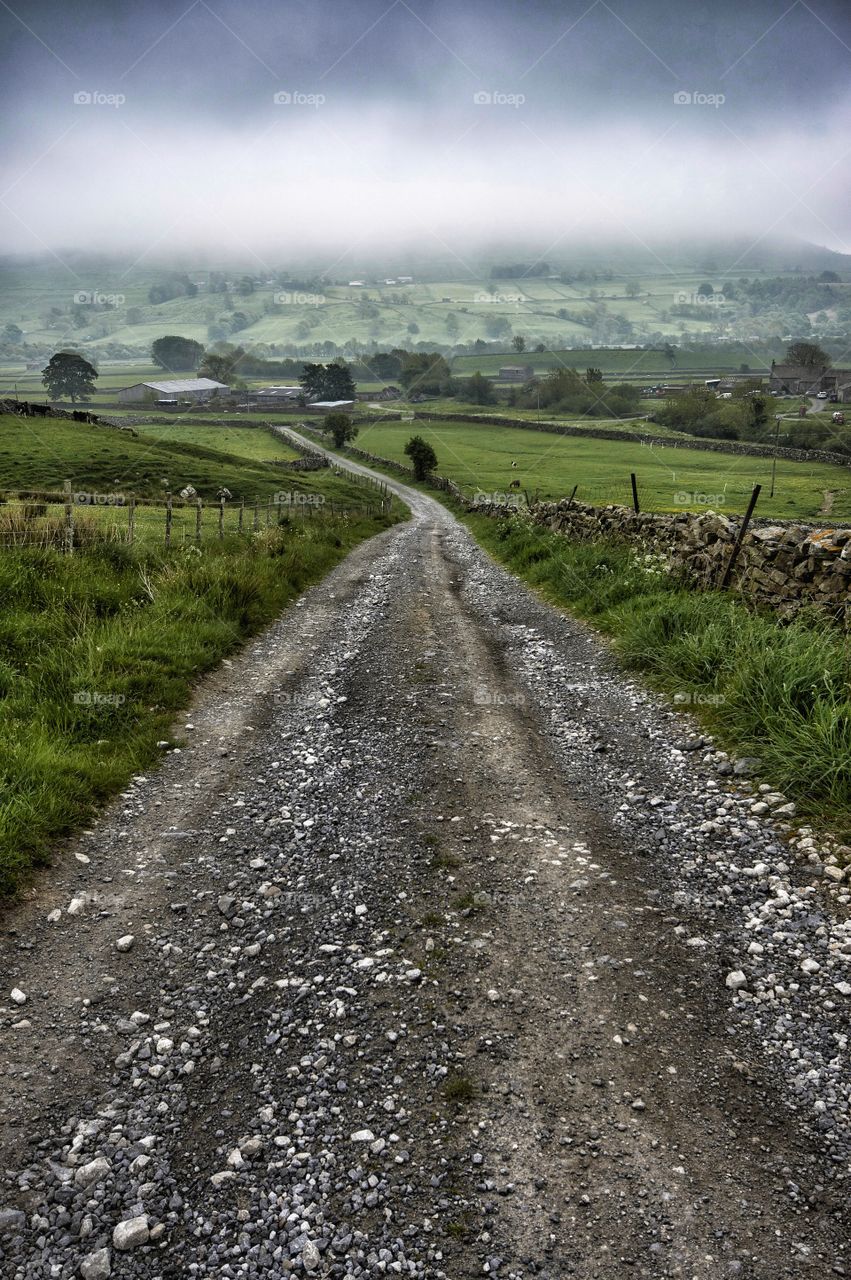 Scenic view of street in fog