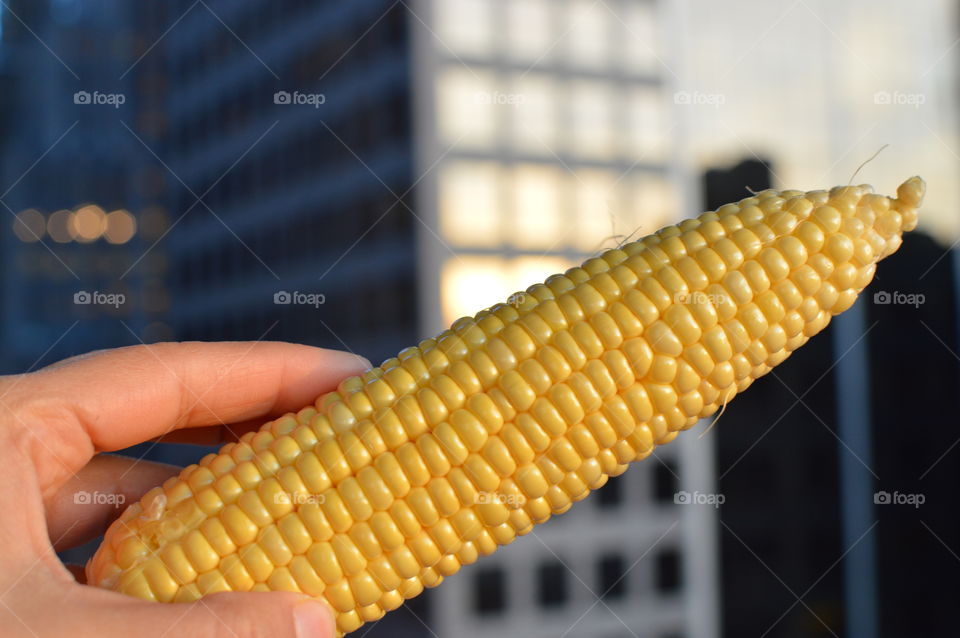 Sweet corn 🌽 