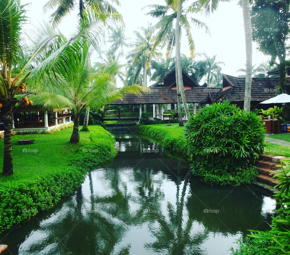 resort in the backwaters India