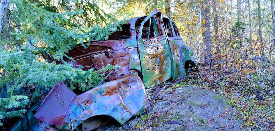 abandoned in nature