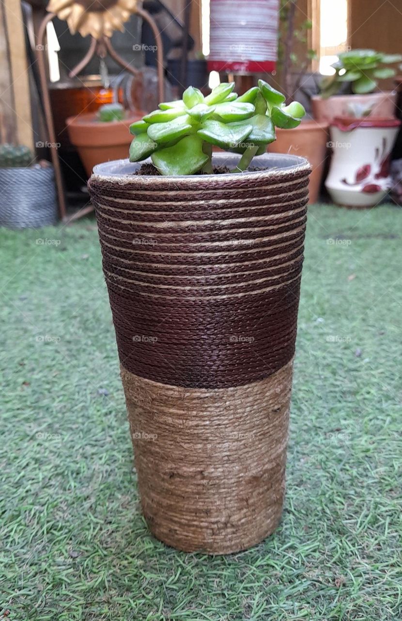 mes pots customisés