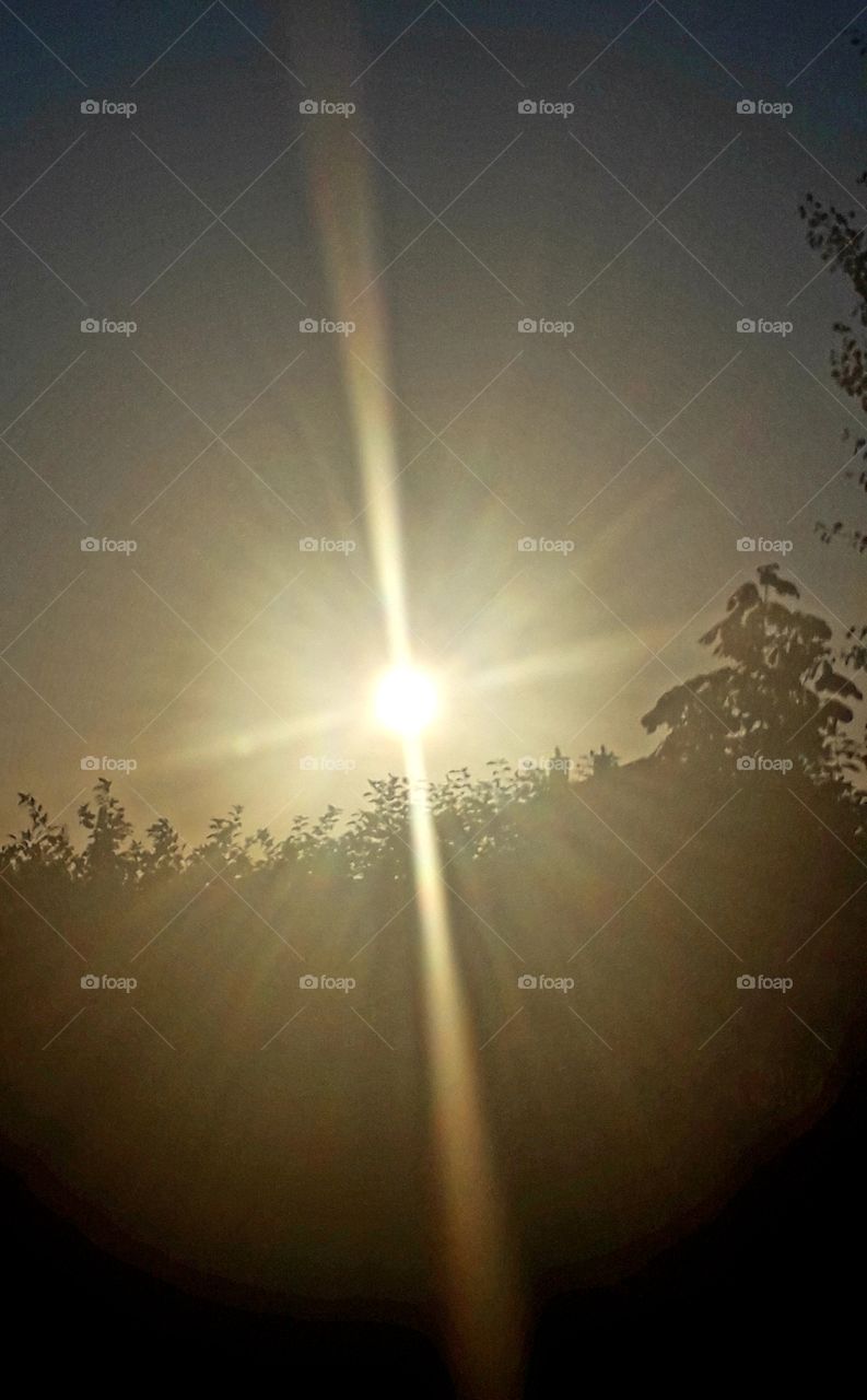 golden rays of the rising sun

￼

golden rays of the rising sun and black silhouettes of trees