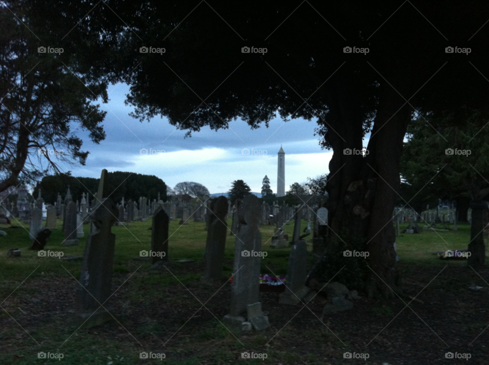 dark tree graveyard old by campbell380