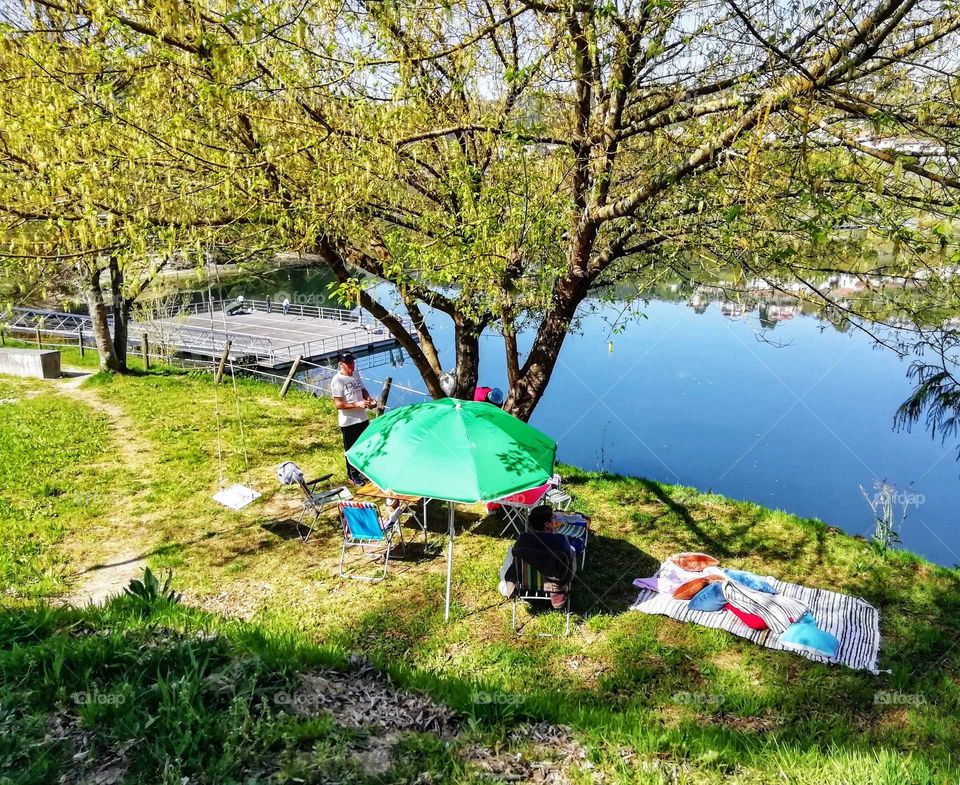 The green color stories