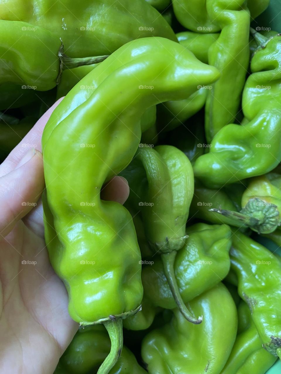 Picking good vegetables for good health 