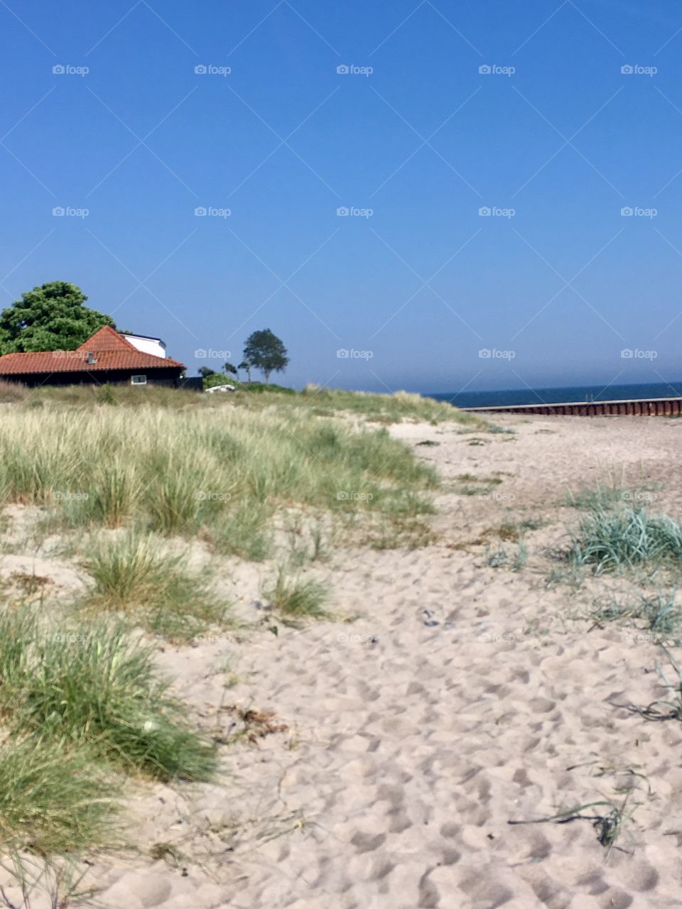 sunny day at the beach