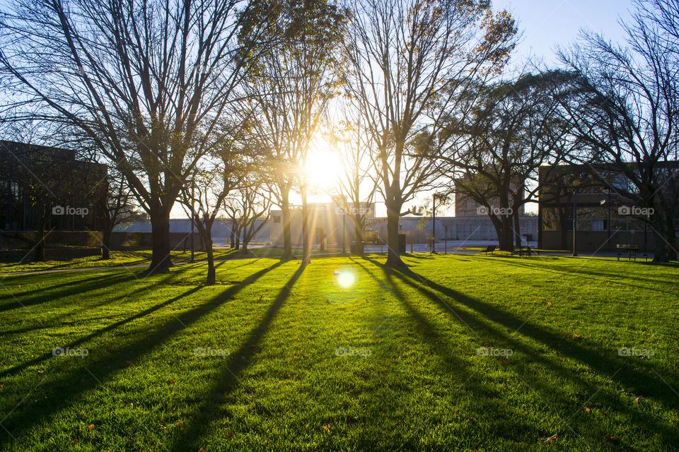 Keep your face always towards the sunshine and all the shadows will fall behind you. 
