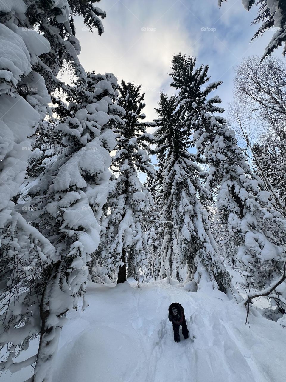 February in the North of Norway