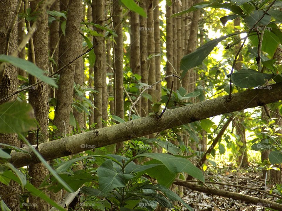 Adventure in the middle of the wilderness