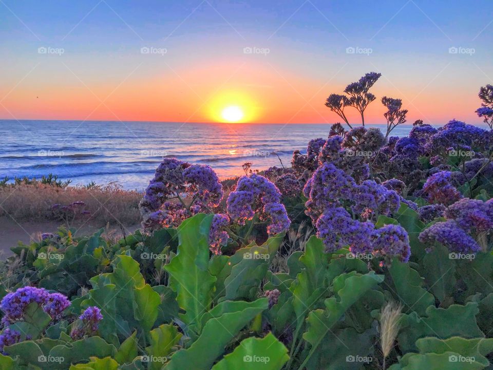 California Coast Sunset
