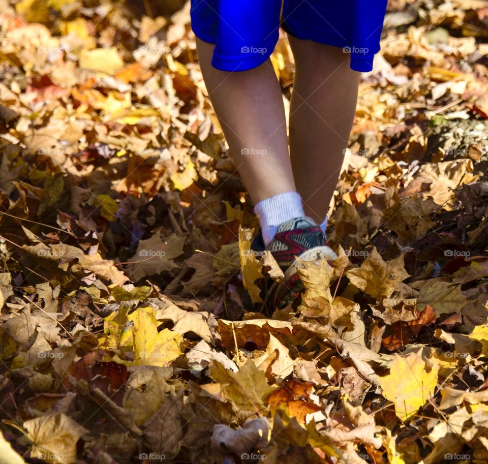Boy walking through deep autumn leaves 