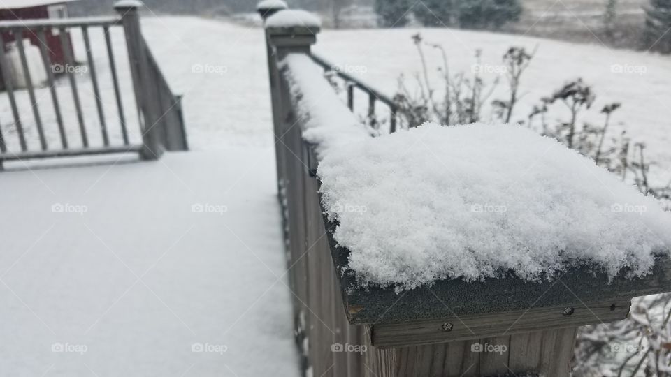 Snow, Winter, Frost, Cold, Ice