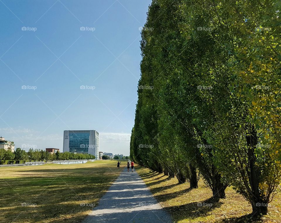 Symetric Trees