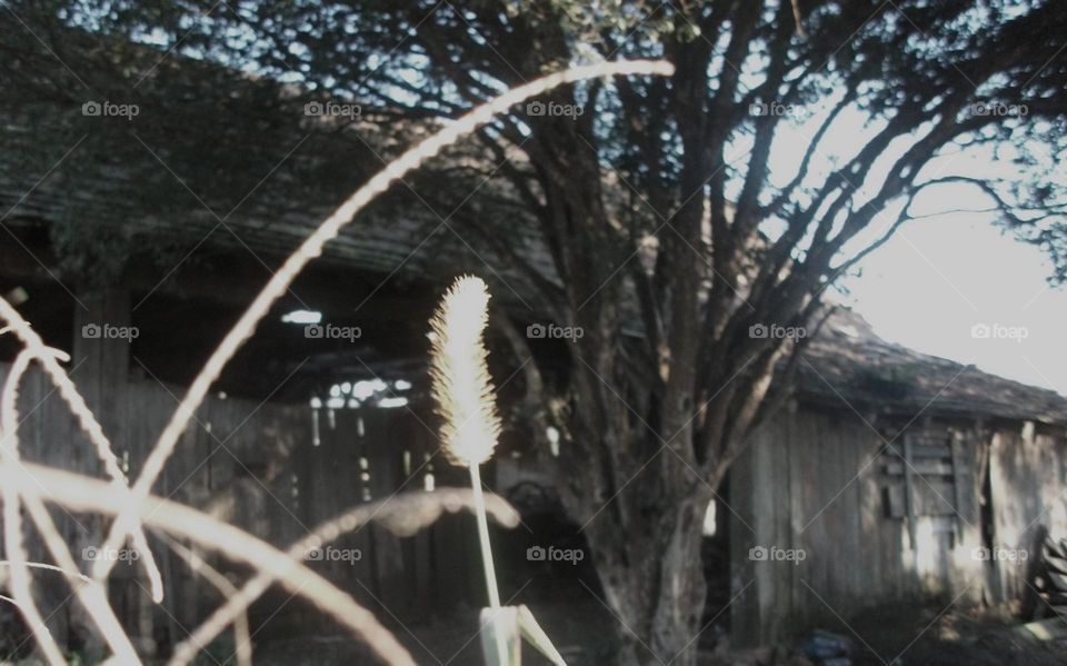 Doces recordações.