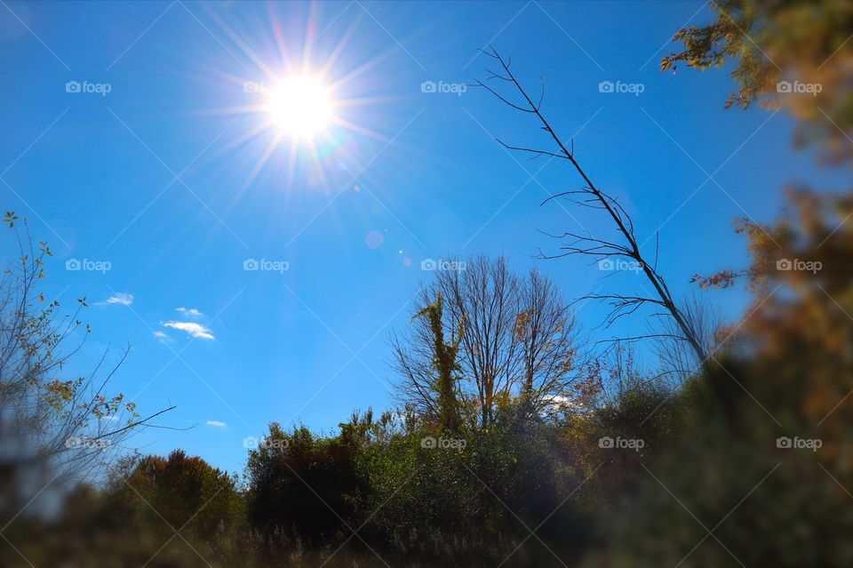 Sun rays shining in Michigan