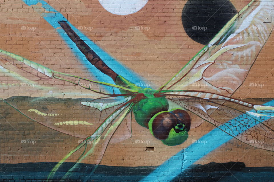 graffiti wall art. a painting of a dragonfly on the side of a red brick building.