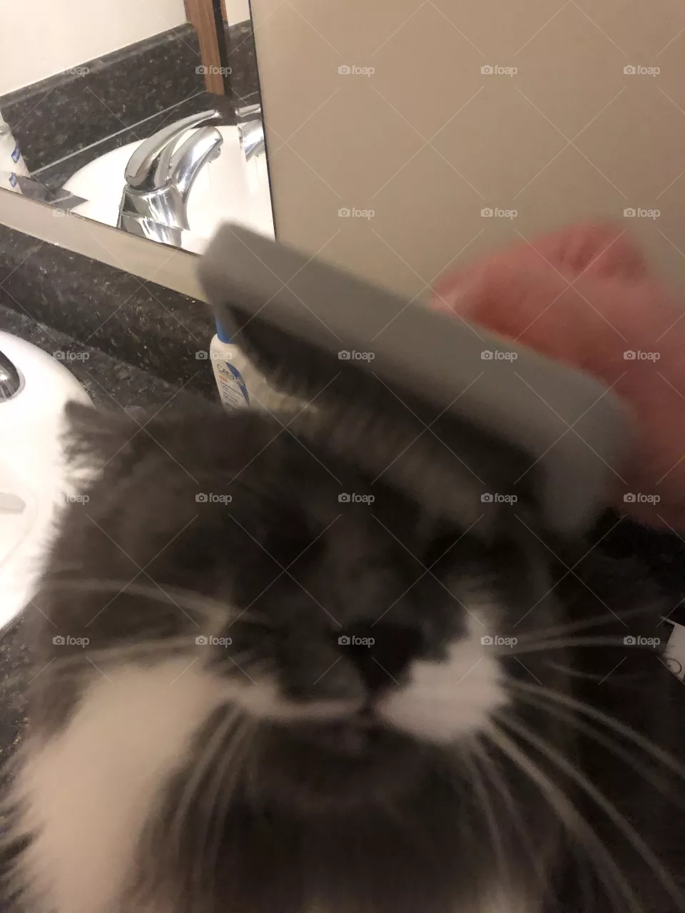 Getting brushed 