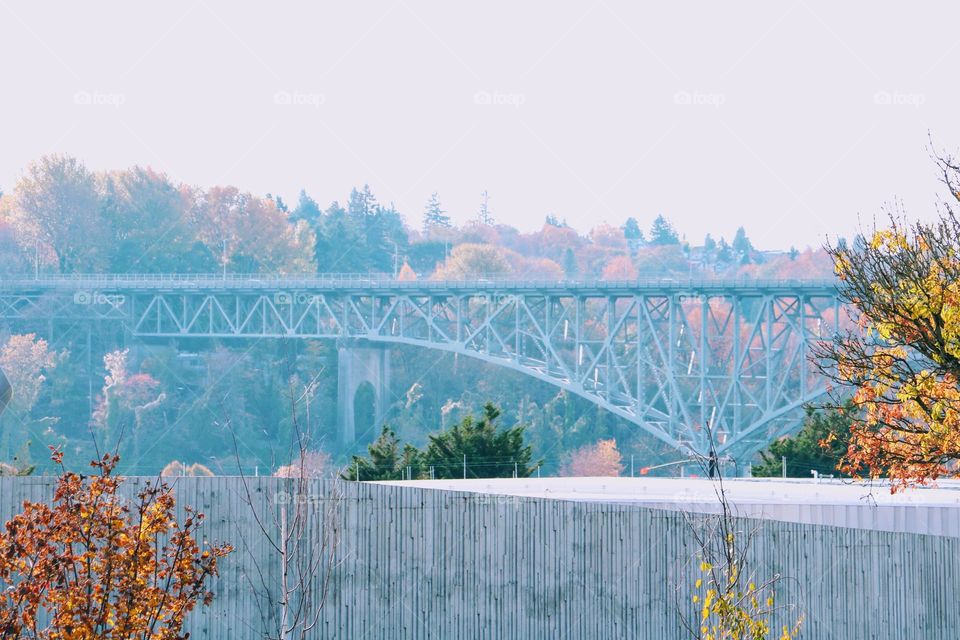 Seattle bridge 