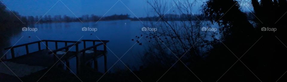 Tree, Landscape, Lake, Reflection, Light