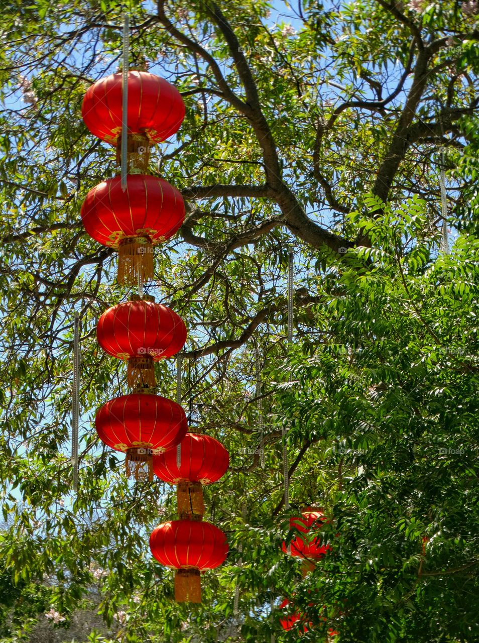 Hanging Chinese Lanterns
