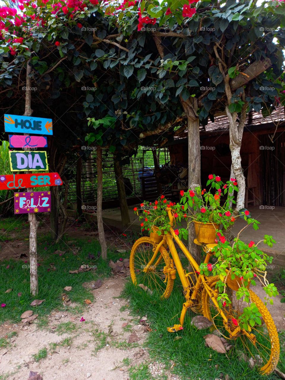 a bicycle with flowers