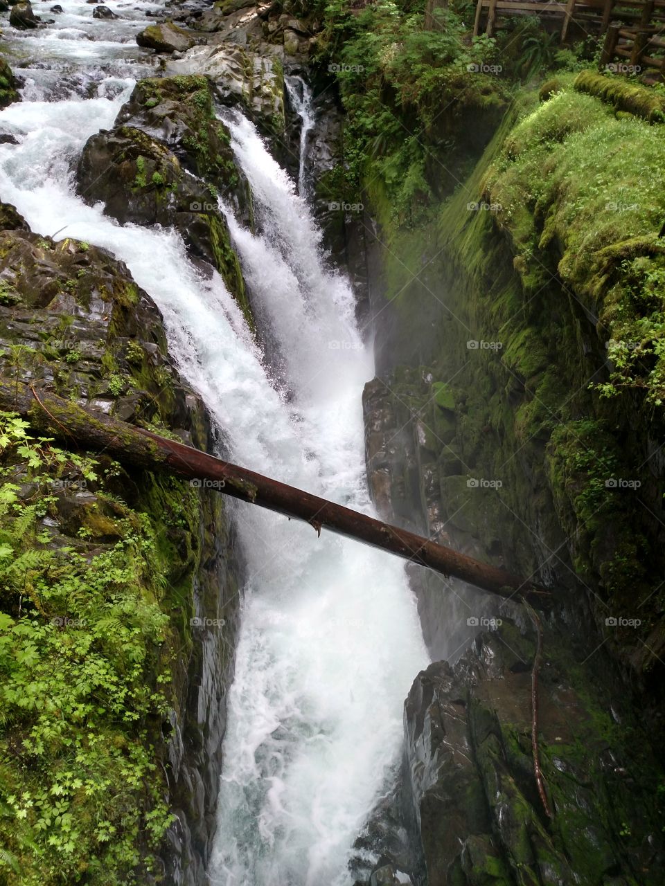 Sol duc Falls in the Pacific Northwest