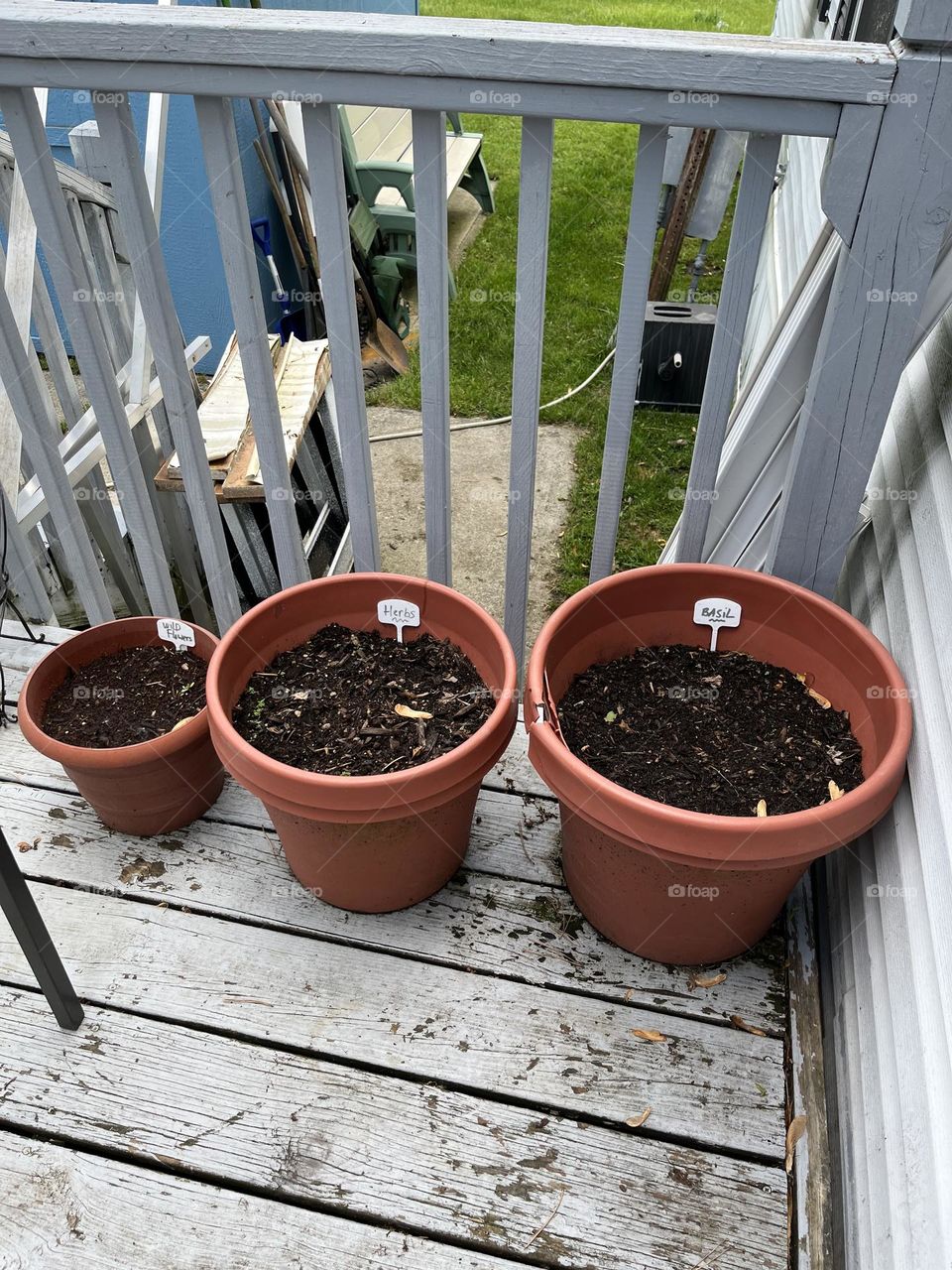Rows of picture row’s of planted pots and rows of wood