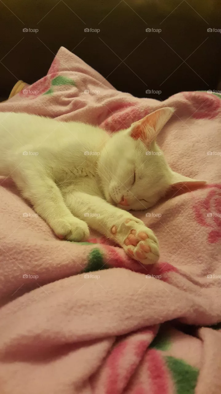 Baby Vicky