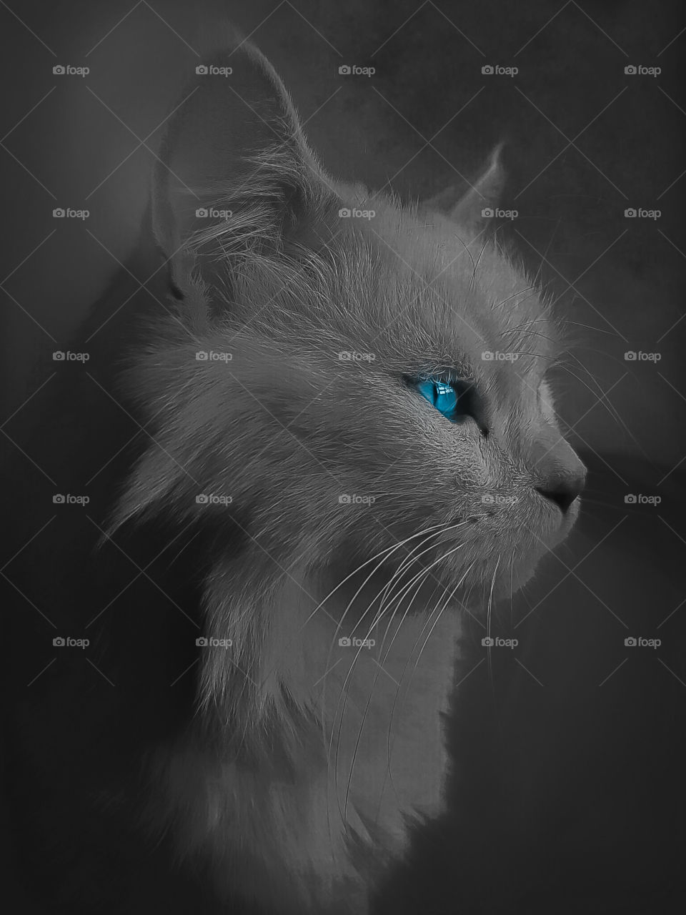 staring outside the window .. new world!